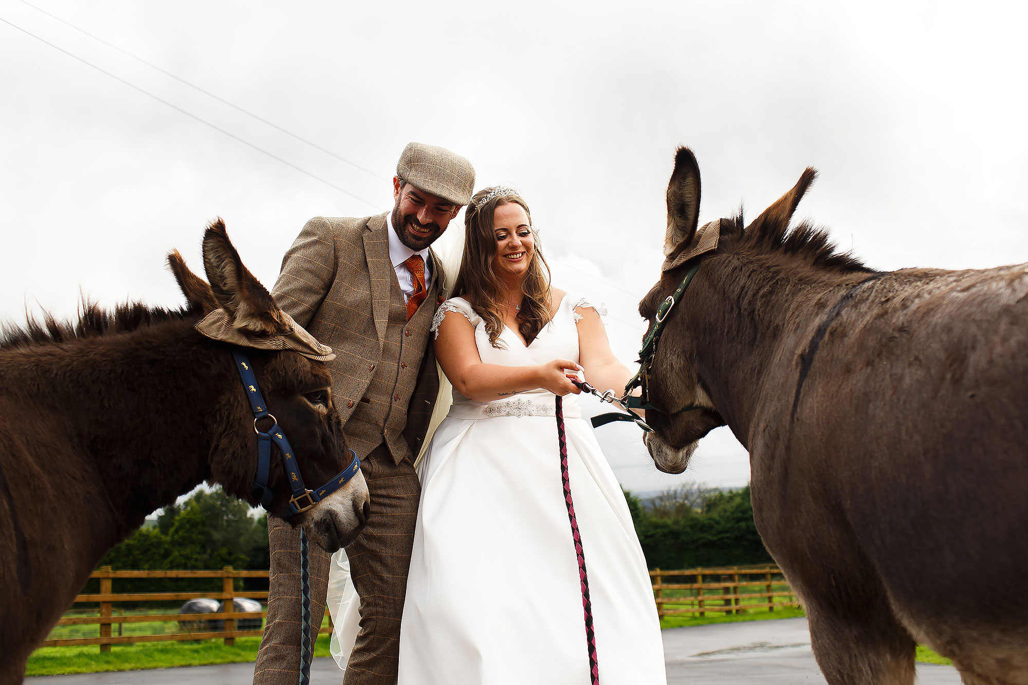 Bride and Groom wearing flat cap holding the donkeys outside the Wellbeing Farm | Wellbeing Farm wedding photographs by Toni Darcy Photography