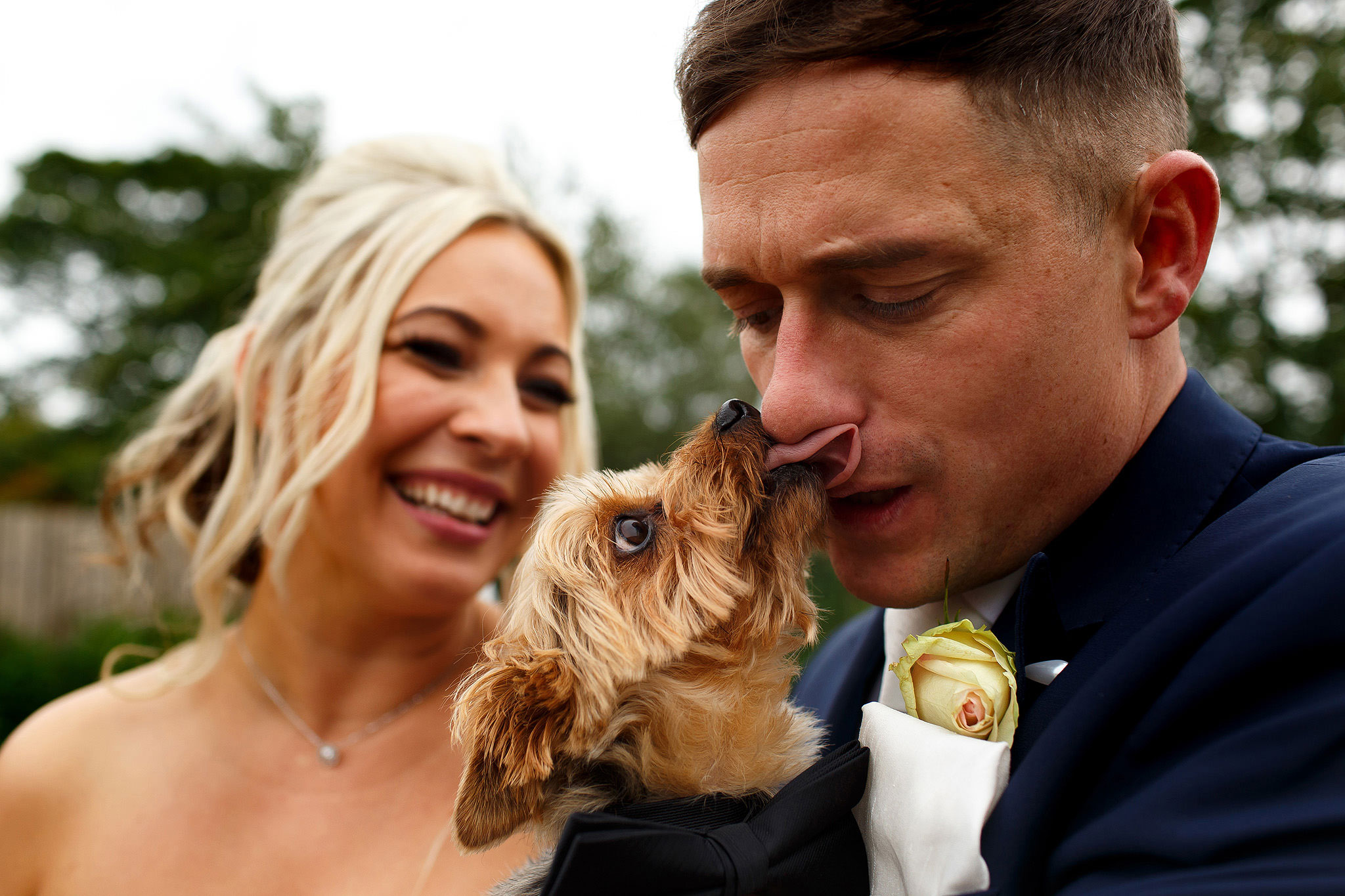 Bride with blonde hair laughing as small brown dog licks the groom on the nose at Hurlston Hall wedding